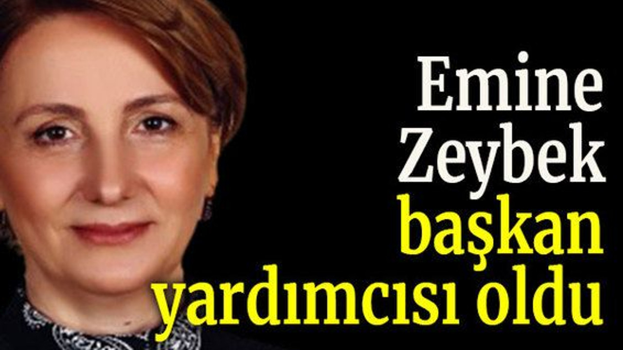 Emine Zeybek başkan yardımcısı oldu